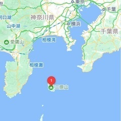 伊豆大島 3,155㎡(954.38坪)の山林地 ※建築不可の画像
