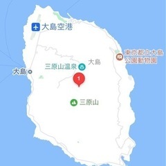 伊豆大島 3,155㎡(954.38坪)の山林地 ※建築不可 - 大島町