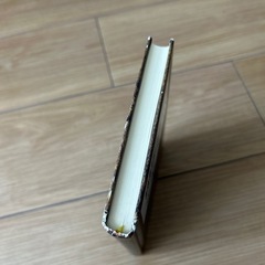 新約コピーバイブルの画像