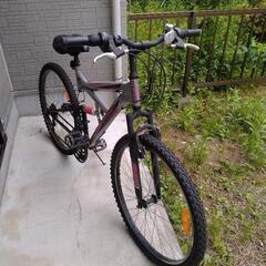 自転車 マウンテンバイクの画像