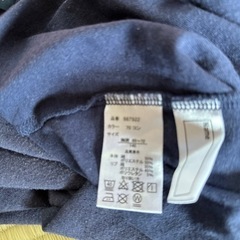 140★カンゴール の画像