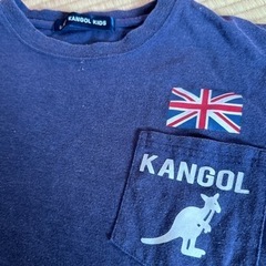 140★カンゴール の画像