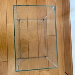 ガラス水槽
の画像