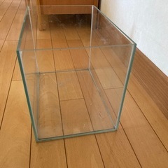 ガラス水槽
の画像