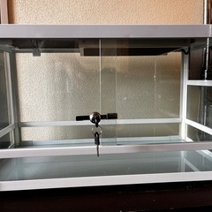 パンテオン ケージ ホワイト 6030 鍵付き　他爬虫類用品応相談