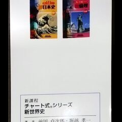 世界史参考書  新チャート式シリーズ 新世界史 の画像