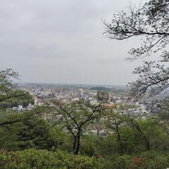 英語、英会話　オンライン