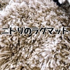 ニトリのスペースラグPPシャギーマット　200cm×240cm