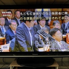 Panasonic VIERA ハイビジョンプラズマテレビ 46...