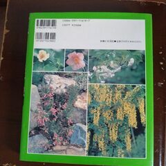 花を楽しむ庭木の画像