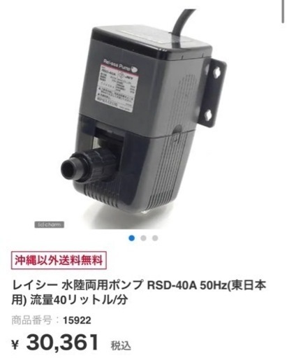 レイシー RSD40 水陸両用ポンプ 50Hz