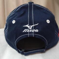 ヤクルトスワローズ　2015年スプリングキャンプin浦添　キャップの画像