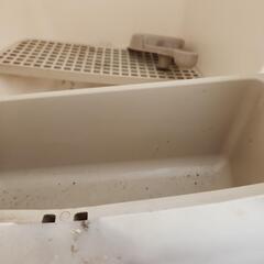 猫のトイレ　中古　ドーム型の画像