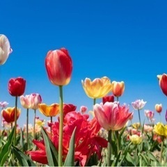 5月21日(火)カラオケしませんか？【りばいぶ】