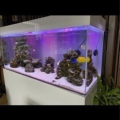 家電 テレビ 液晶テレビ