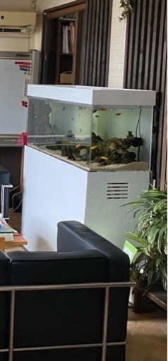 家電 テレビ 液晶テレビ