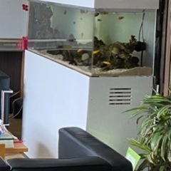 家電 テレビ 液晶テレビ