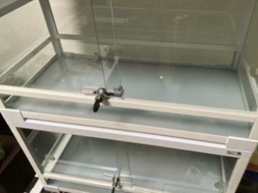 パンテオン　爬虫類ケージ
