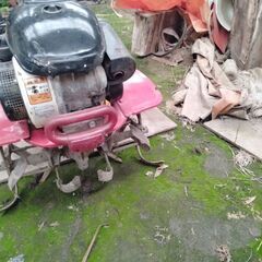 ヤンマー　管理機