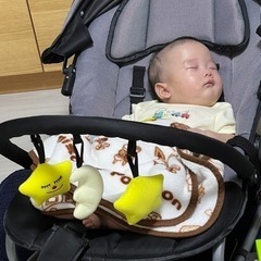 【直接引取限定】katoji バウンサーの画像