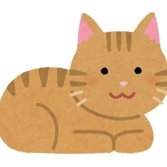 保護活動⋆⸜ ෆ ⸝‍⋆犬用、猫用のゲージを譲ってください！！