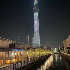 8月の休暇旅行を計画しています。友達になってください😊 - 千代田区