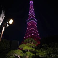 8月の休暇旅行を計画しています。友達になってください😊 - 友達
