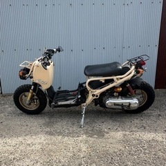 バイク ホンダ　ズーマー　Z4の画像