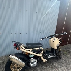 バイク ホンダ　ズーマー　Z4の画像