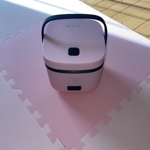 売り切れました