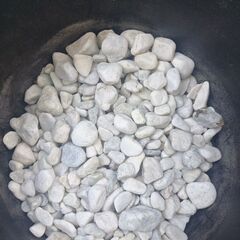 受渡場所 舟入中町 庭石 約10L