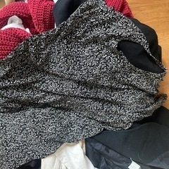 本日のみ！女性服色々の画像
