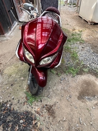 バイク(決まりました）