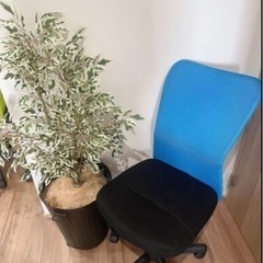 2脚セット※受渡日時指定あり↓オフィスチェアセット⭐︎デスクセットもあり⭐︎②の画像