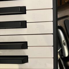 KORG コルグ 電子ピアノ 88鍵盤 LP380 （Amazon定価82,940円）の画像