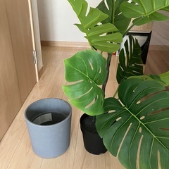 IKEA フェイカ　fejka 人工観葉植物と鉢　ボイセンベール　BOYSENBÄRの画像