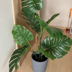 IKEA フェイカ　fejka 人工観葉植物と鉢　ボイセンベール　BOYSENBÄRの画像