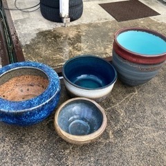 楽天市場】睡蓮鉢 青の通販