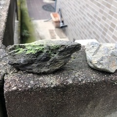 盆栽石　水石　箱庭　石庭　ガーデニングの画像