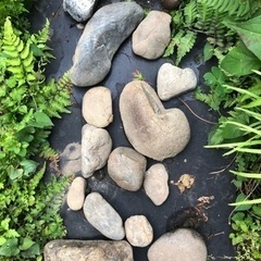 盆栽石　水石　箱庭　石庭　ガーデニングの画像