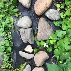 盆栽石　水石　箱庭　石庭　ガーデニングの画像