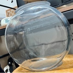 熱帯魚　メダカ　金魚　飼育セットの画像