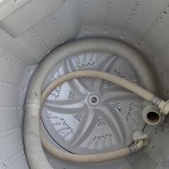 無料東芝 洗濯機 4.2kg 2014年の画像