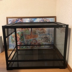 爬虫類ゲージ