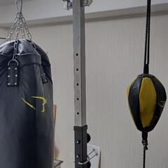 ボディメーカー サンドバッグの画像