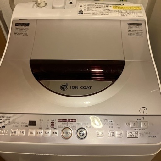 家電 生活家電 洗濯機