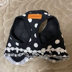 犬用ハーネス🐶 Sサイズ。 未使用リード付き！の画像