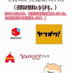 発送対応 【未使用 美品】非売品 ハリーポッター 怪物的な怪物の本　プルバック トイの画像