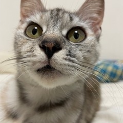 募集停止中
