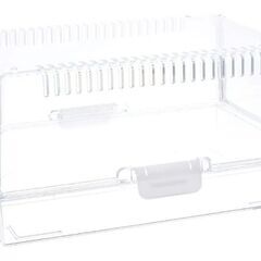 爬虫類用品お譲りします。の画像